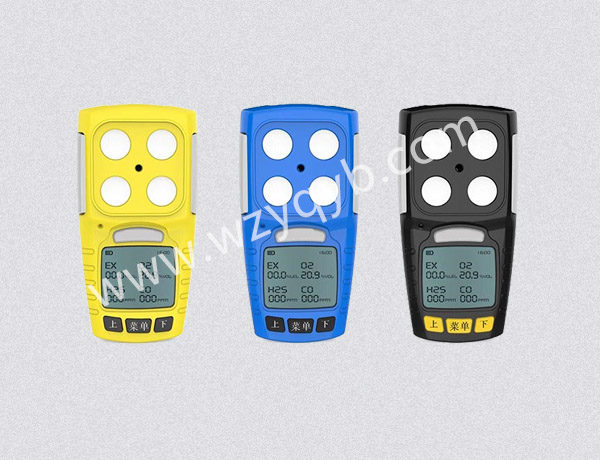 便攜式氣(qì)體檢測儀多組(zǔ)分